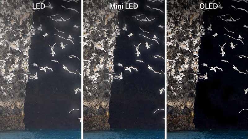 مقایسهی قیمت تلویزیون LED و OLED